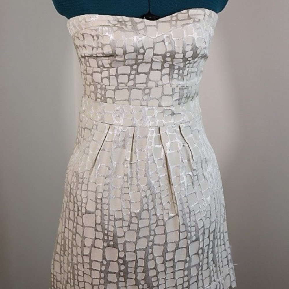 American Eagle Outfitters- mini dress